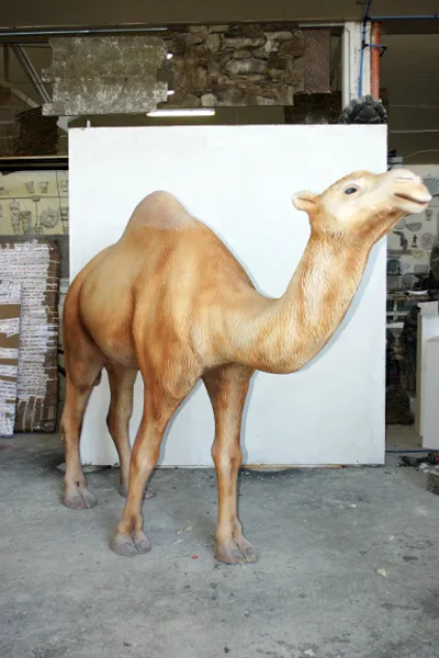 Dromedary Vetroresina Grandezza Naturale