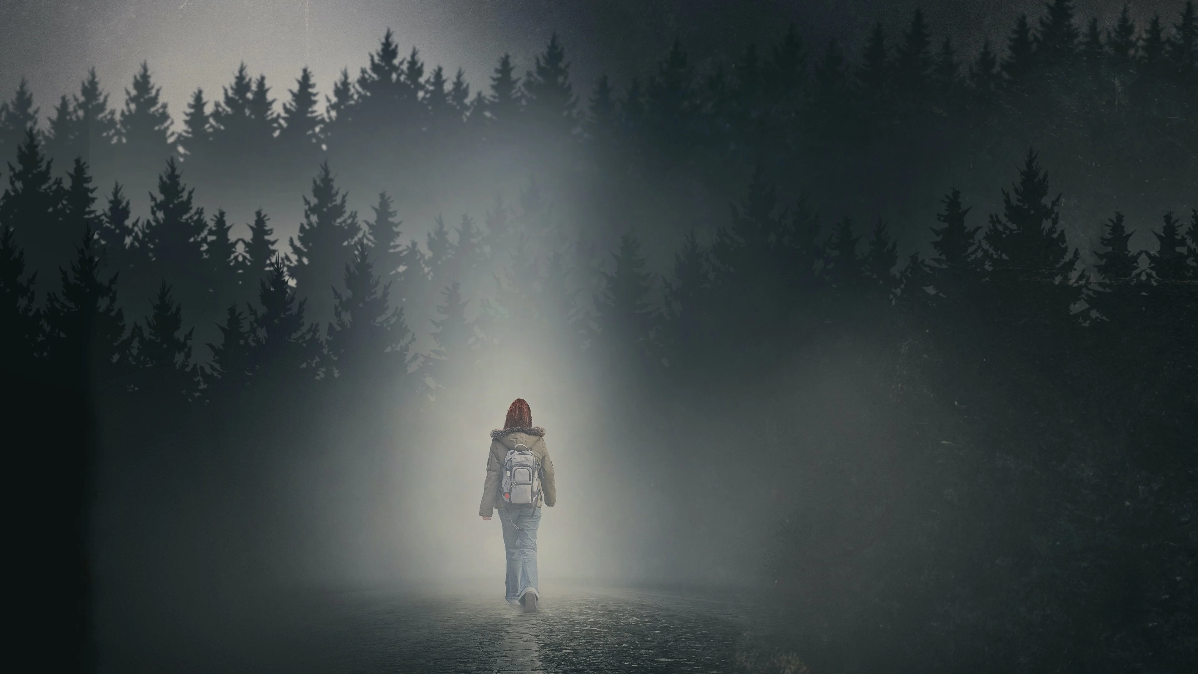 The Girl in the Fog: a girl seen from behind walks through a dark fir forest crossed by a beam of light. The iconic image of the film.
