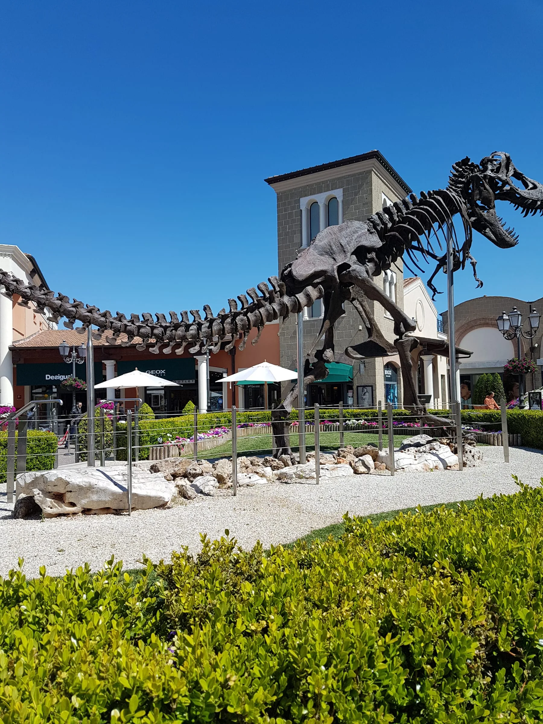 The monumental Tyrannosaurus rex skeleton installed in Piazza del Foro Romano at McArthurGlen Designer Outlet in Castel Romano: open skull and toothed mandible in the foreground, ribcage above the vertical structural pole, in the background a brick turret with mullioned windows and Geox and Boggi brand signage of the shopping centre, deep blue summer sky