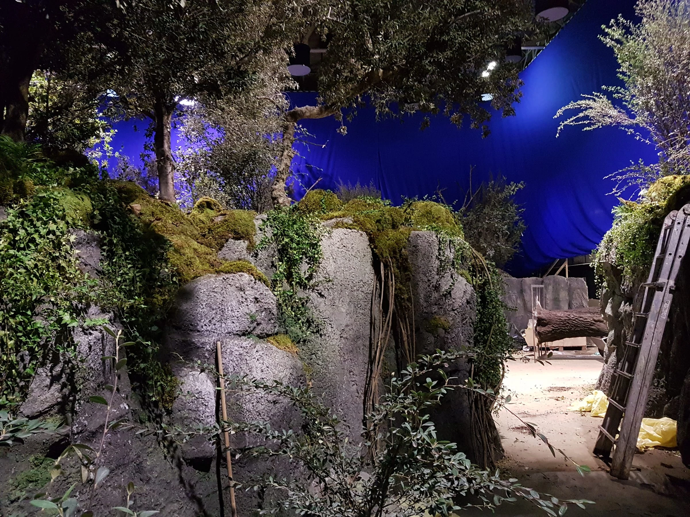 Rocky forest set built in the studio: rocks covered in moss and ferns, fern trees and branches, real vegetation mixed with sculpted vegetation, in front of an intense blue cyclorama
